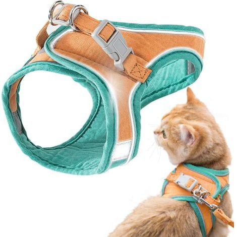 QORVA-Harnais et laisse pour chat, veste de marche confortable pour chat avec laisse-Ensoleillé (1/5)