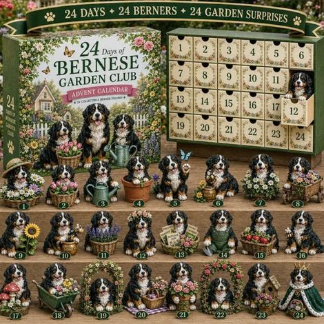 Calendrier de l'Avent Nouveau Bouvier Bernois 2026 - Modèle B -