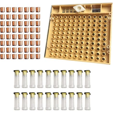 Kit Élevage Reine Apiculture 110 Pièces avec Tasses Cellules Abeilles en Plastique et Cage (1/4)