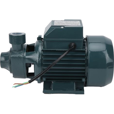 Pompe Ă eau propre compacte et portable pour l'irrigation domestique, agricole et de jardin QB70 550W 45L/min AC220V (1/5)