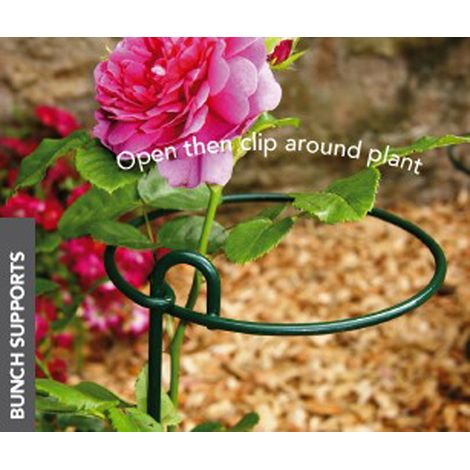 Small Bunch Support (Pack of 4) - Steel - L15.2 x W15.2 x H86.4 cm - Green