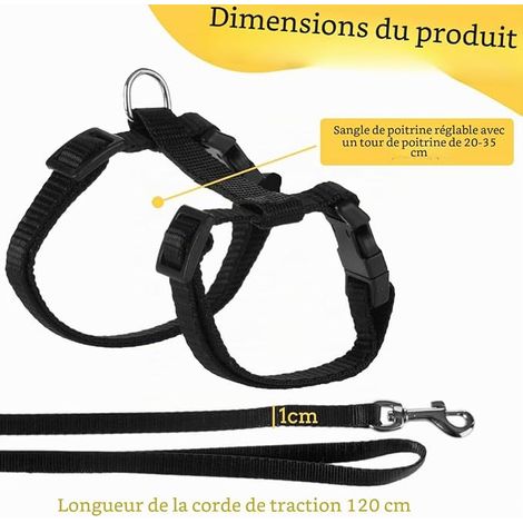 Harnais Pour Chats, Harnais Et Laisse Réglable Noir 120X1Cm, Pour Chaton Et Petits Animaux, Promenade, Ensemble Harnais Laisse (1/4)
