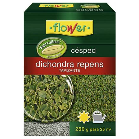 Graine de Gazon Dichondra Repens 250g