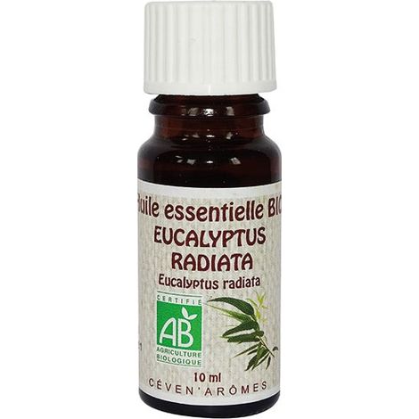 Aceite Esencial de 10 ml Eucalipto Radiata - Orgánico - Ceven Aromes