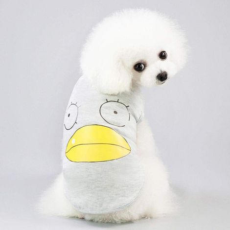Gilet d'été pour chien, T-shirt, vêtements pour animaux de compagnie, déguisement pour chien et chat (1/4)