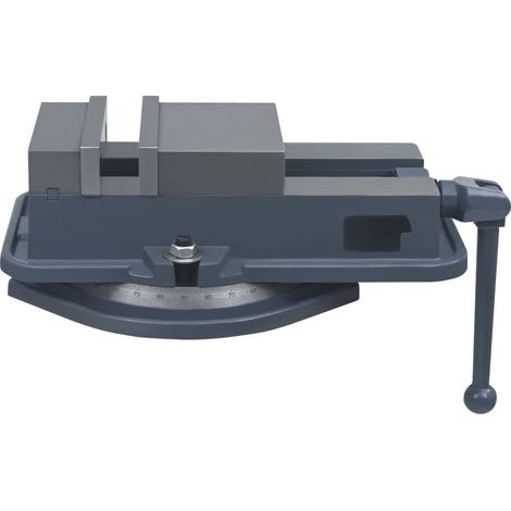 vidaXL Tischschraubstock Gusseisen 160 mm