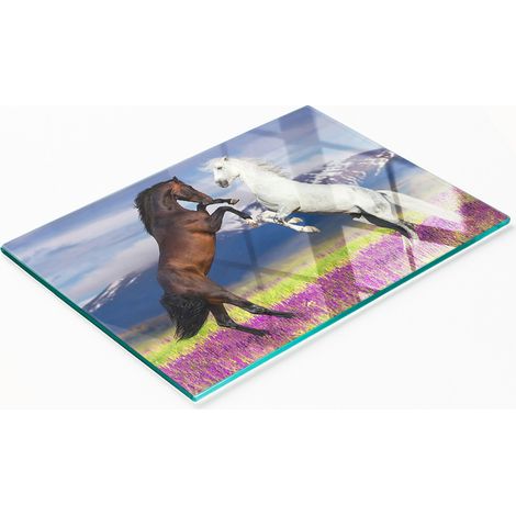 Tabla decorativa de cristal para servir aperitivos, G贸ry Konskie, 80x52 cm