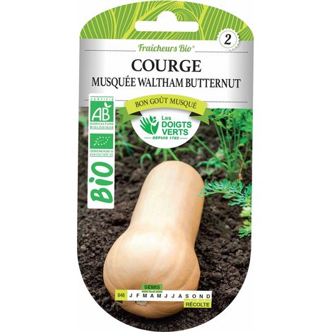 Semillas de calabaza Waltham Butternut BIO Les Doigts Verts (1/2)