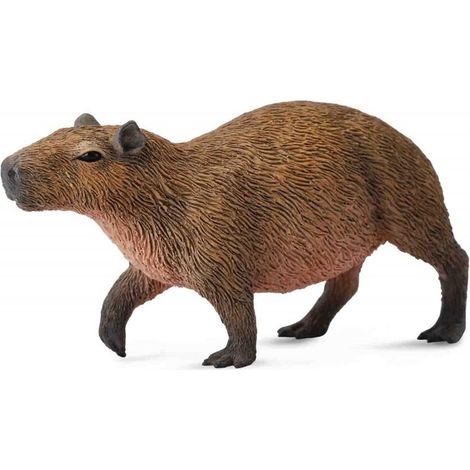 Colleziona. Capibara