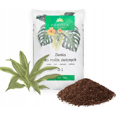 Erde für Gewächshauspflanzen 5L für Palmen, Yucca, Monstera, Kakteen