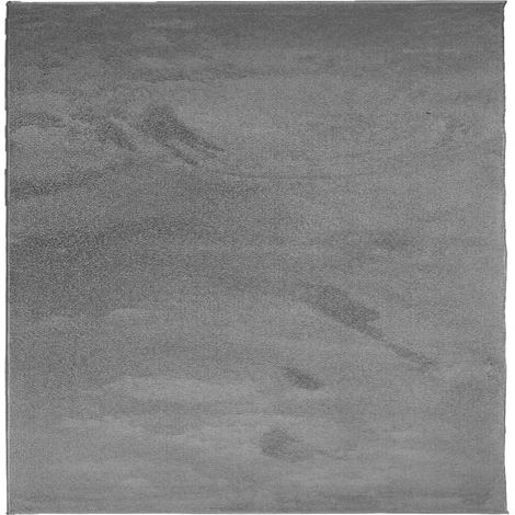 Maison Exclusive - Tappeto OVIEDO a Pelo Corto Antracite 200x200 cm