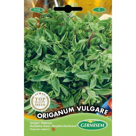 graines Marjolaine vivace Origanum Vulgare EC1112 Multicolore (1/5)