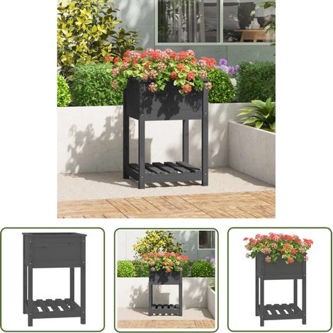The Living Store Jardinière avec étagère Gris 54x54x81 cm Bois massif de pin - Jardinier - Pot De Fleurs - Jardinière Extérieure - Bois Massif - Pin (1/5)