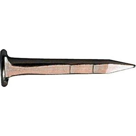 Semenze Acciaio 2 Leoni Tp Gambo Quadro Kg. 1 mm. 10
