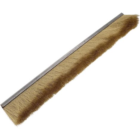 Brosse à poils métalliques pour boîte aux lettres, dimensions 30 x 4 (1/5)