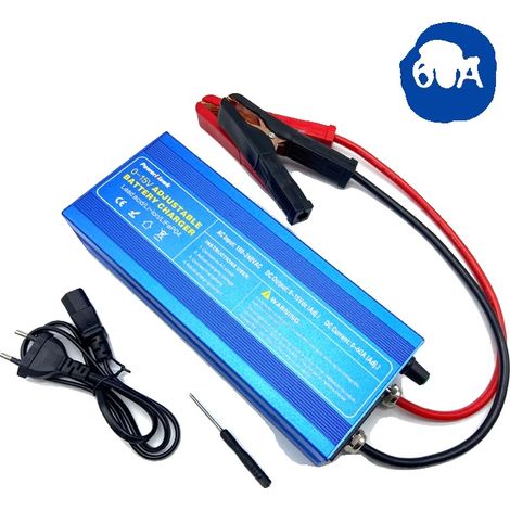 Chargeur de batterie Lifepo4, Charge intelligente, Affichage convivial, clip LS 60A, 15V-a, UE-a (1/2)