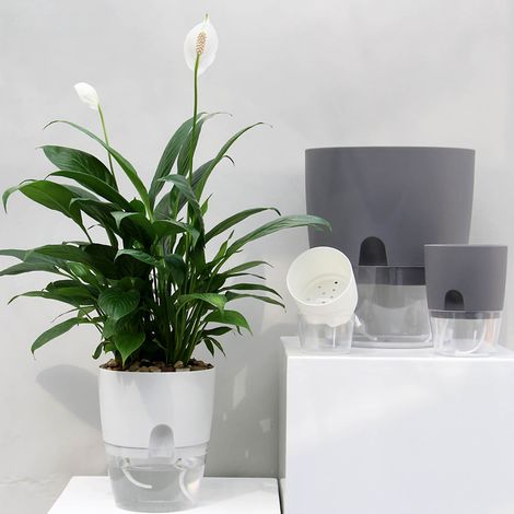Pot de fleurs transparent double couche créatif, absorption d'eau automatique facile à utiliser, grand pot rond blanc transparent pour pothos : livré avec une corde en coton absorbant, A709, diamètre (1/5)