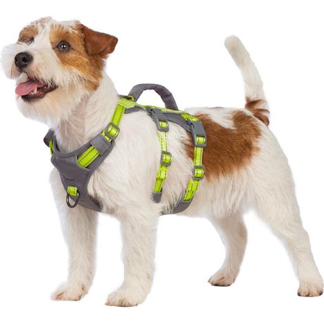 Harnais Chien Petite Taille, Réfléchissant Harnais Anti Fugue Chien, Harnais Chien Anti Traction avec Poignée, Respirant, Harnais Réglable pour Chiens Moyens et Grands (Vert Vif,XS) (1/5)