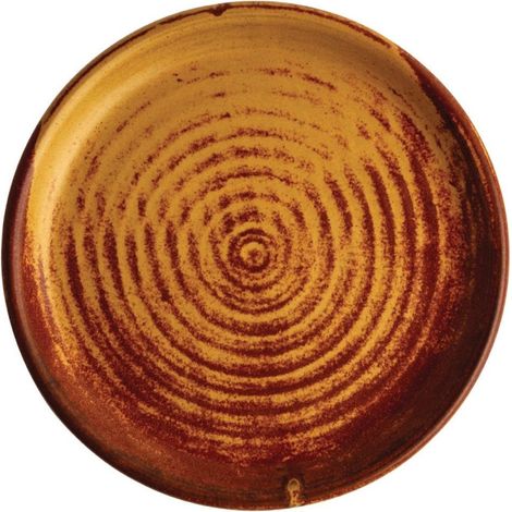 Assiettes plates terre de sienne Canvas 18 cm (Lot de 6) - Ref FA309 - Olympia (1/5)