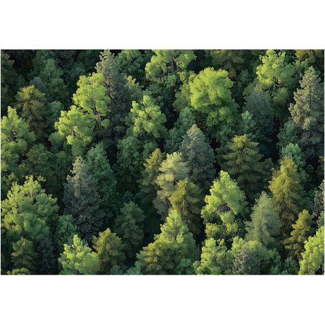 Papier peint panoramique forêt arbres nature intissé 150x105 cm mural salon chambre petit format (1/5)