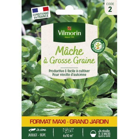 Mâche à Grosse Graine - Grand Modèle Vilmorin (1/2)