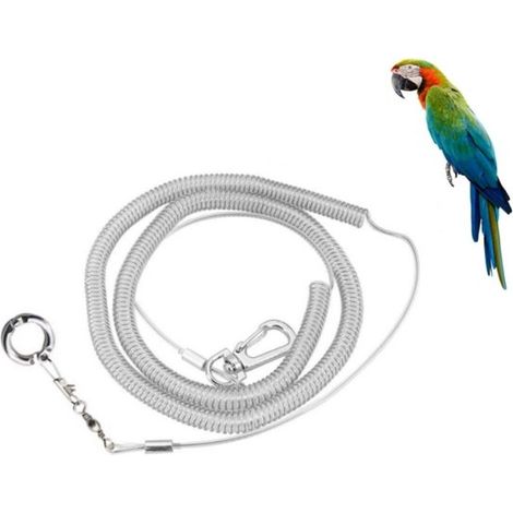 Laisse élastique de 3 m pour perroquet, ara, harnais d'extérieur pour oiseau de compagnie, corde d'entraînement pour perroquet, sangle pour patte, corde d'entraînement pour perruche, laisse pour perro (1/5)