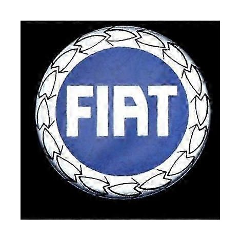 Quatre cache-poussière de 50 mm pour jantes Fiat 500, compatibles avec les modèles Stilo Bravo, Ducato et Freemont.