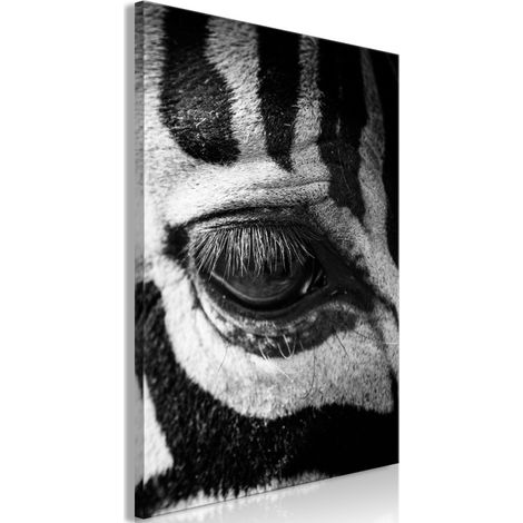 Tableau Imprimé "Zebra Eye" 40 x 60 cm (1/2)