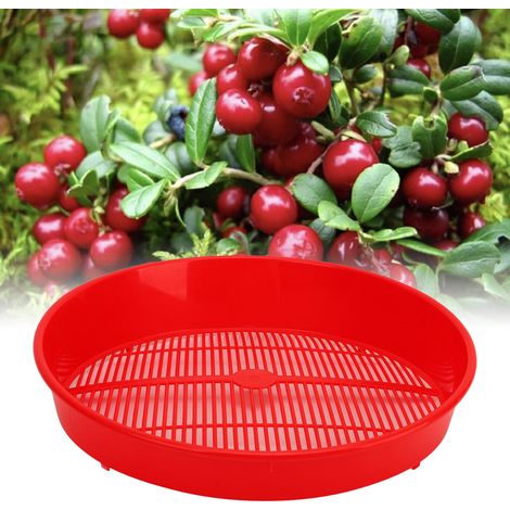 Nettoyeur à Bleuets et Fraises, Plateau de Lavage en Plastique pour Fruits Jardins - KZQ (1/5)