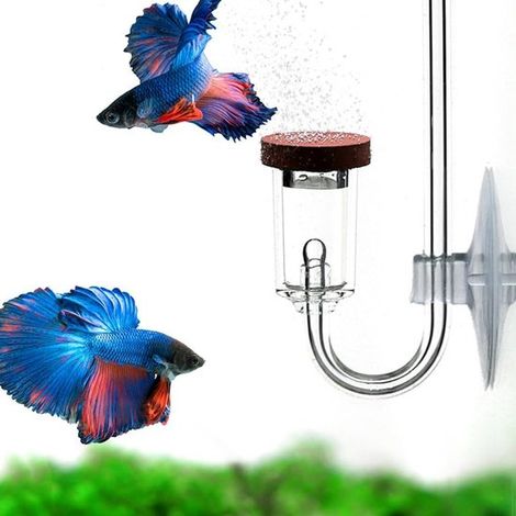 Diffuseur de CO2 pour aquarium en acrylique, taille L, avec ventouse, réacteur pour plantes d'aquarium, transparent (1/5)