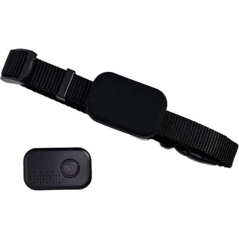 GPS-Tracker – Kompatibel mit iOS und Android – Wasserdicht (IP67) – CR2032-Batterie – Verstellbares Halsband für Hunde und Katzen – 1 Stück (1/5)
