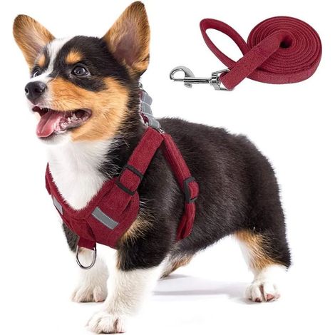 Harnais pour chien en tissu suédé doux au toucher, gilet pour animaux de compagnie avec entrejambe réglable et réfléchissant, harnais anti-traction pour chiots et chiens de petite et moyenne taille (1/4)