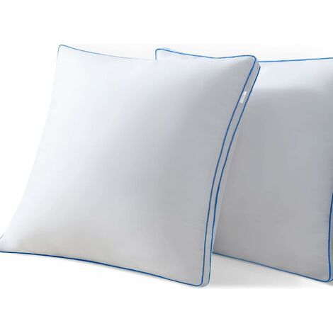 Coussins 48x78, lot de 2, coussins moelleux, blanc et bleu, 1100 g-AquaForge (1/5)