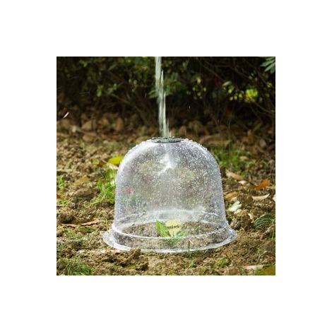 Dôme de germination thermostatique pour plantes – Protection en plastique respirant – Maintien de l'humidité – Outil de jardinage (1/5)