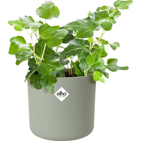 Vaso B.for soft round D 18 x H 17 cm Verde Pietra ELHO