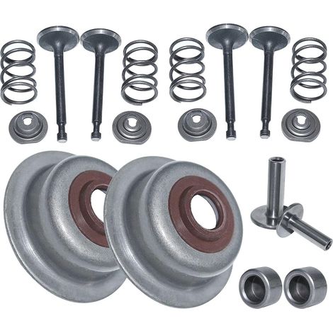 Kit de soupape d'admission Gubeter pour HONDA Gx160 GX200 14711-Zf1-000 (In.) 14721-Zf1-000 (Ex.), 12209-Zh8-003, 14441-Ze1-010 (1/5)
