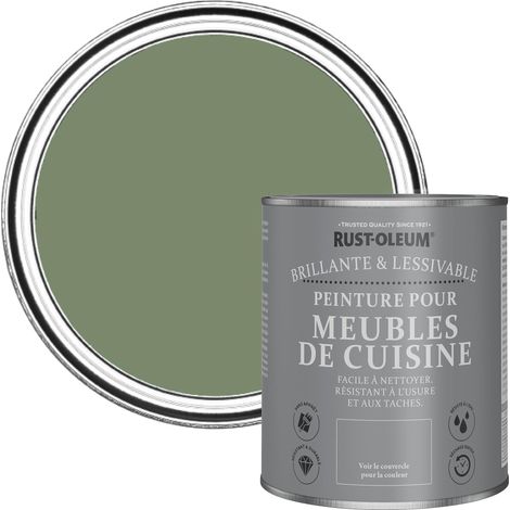 Peinture Verte pour Meubles de Cuisine, Finition Brillante - 750ml (1/5)
