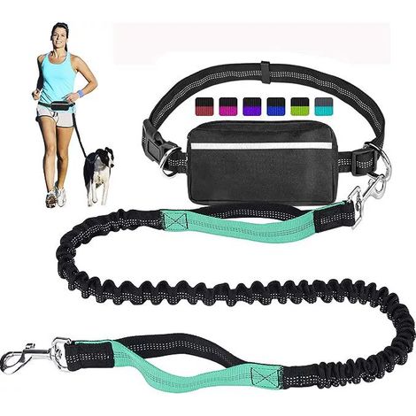Laisse mains libres pour chiens, absorption des chocs, confortable, coutures réfléchissantes, idéale pour la course, le jogging et la marche. (1/3)