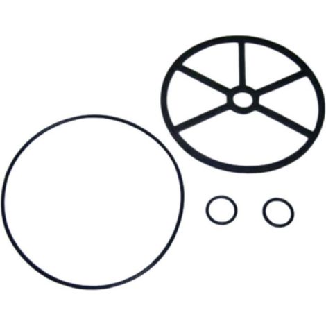 Kit joint de rechange vanne 6 voies filtre à sable piscine 4404120407 – Joints étoile NM 2" – Pour vanne Side CLASSIC 2" – Jardiboutique (1/3)