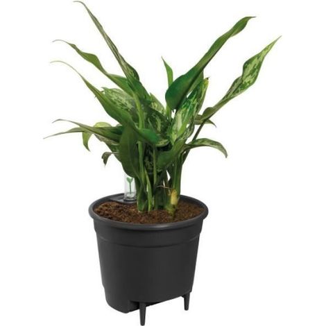 Elho Pot de fleurs auto-arrosant 36 - Noir - Ø 36 x H 35 cm - Accessoires d'intérieur - 100 % recyclé (1/9)