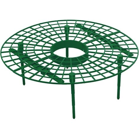 Filiyano – Support pour plants de – 5 tuteurs pour fraisiers - Support pour plants de fraisiers