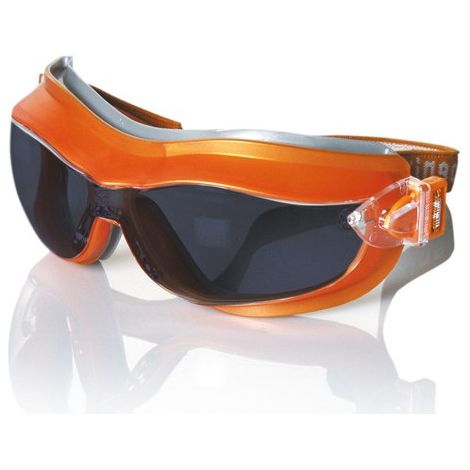 Gafas de Montura Universal Phoenix (6 uds) | Ahumado
