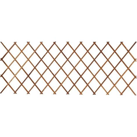 Mesh, Frame of climbing telescopic anti-corrosion for wall of garden of yard - 44x31cm 2pieces - RWTreillis (1/3)