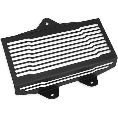 Grille de protection de radiateur pour moto, protection contre la chaleur, compatible avec BMW R 12, R12 Ninet et Nine T (2024-2025) (1/5)