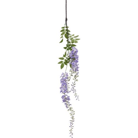 Large Purple Wisteria Spray (Single Stem Flower) - Plastic - Height 180 cm - Green
