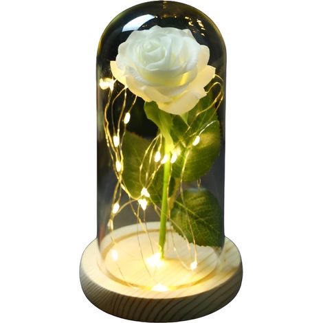 LED-Glaslampe in Rosenform – JINFGERNE – Elegante Dekoration für Muttertag und Valentinstag – Weiß (1/5)