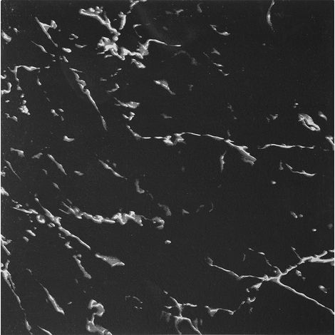 Carreaux de sol en vinyle, autocollants, surface imperméable, 50p Noir (1/2)