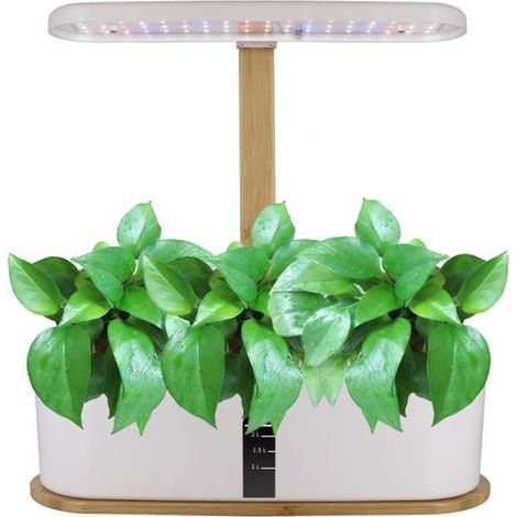 Gemüsegarten für drinnen, Kräutergarten-Set für drinnen mit 10 Töpfen, Vollspektrum-LED-Lampe, höhenverstellbar 20-40 cm (Weiß)
