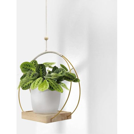 Étiquette d'affichage de plantateur de plafond de porte-plante suspendue intérieure avec cadre métallique pour salon, balcon, Eaves (1/5)