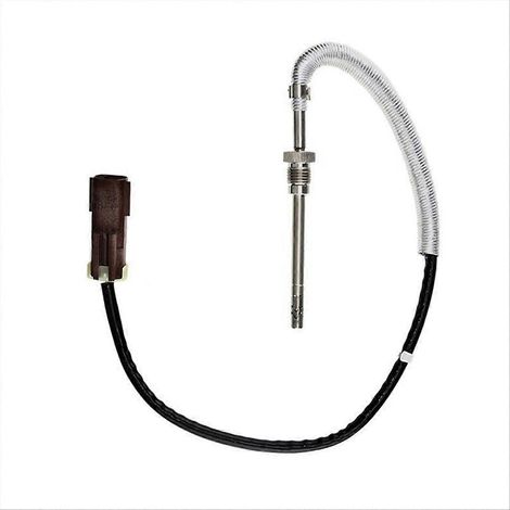 Capteur de température des gaz d'échappement pour Ram 15-17 (1/5)